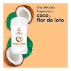 Antitranspirante en Barra Dove Tono Uniforme Coco 45 g