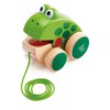 Hape Frog Pull-Along | Wooden Frog Fly Eating Pull Toddler