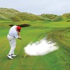 Shanker Golf Exploding Balls - Prank Balls that Explode on