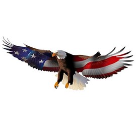 VWAQ Bald Eagle American Flag Wall Decal Patriotic Decor USA Art Decoration - NA16 (8" H X 20" W)