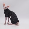 Ropa de gato sin pelo, cálida y suave, otoño e