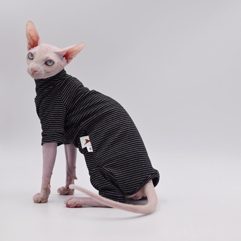 Ropa de gato sin pelo, cálida y suave, otoño e
