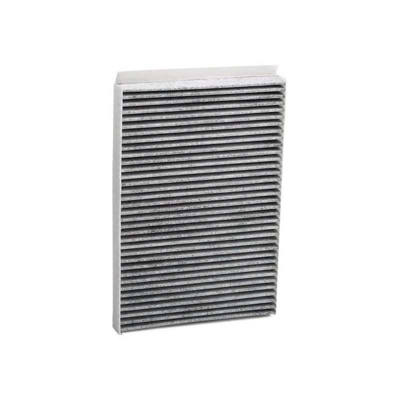 Ridex 424I0054 Interior Air Filter