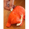 Beams Japan Salmon Bear Piggy Bank, Orange