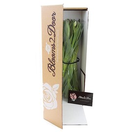 KaBloom PRIME OVERNIGHT DELIVERY - WEDDING COLLECTION - PREMIUM 20 Purple Tulips - Farm Direct Wholesale Fresh Flowers|Gift for Birthday, Anniversary, Thank You, Valentine, Mother’s Day Fresh Flowers