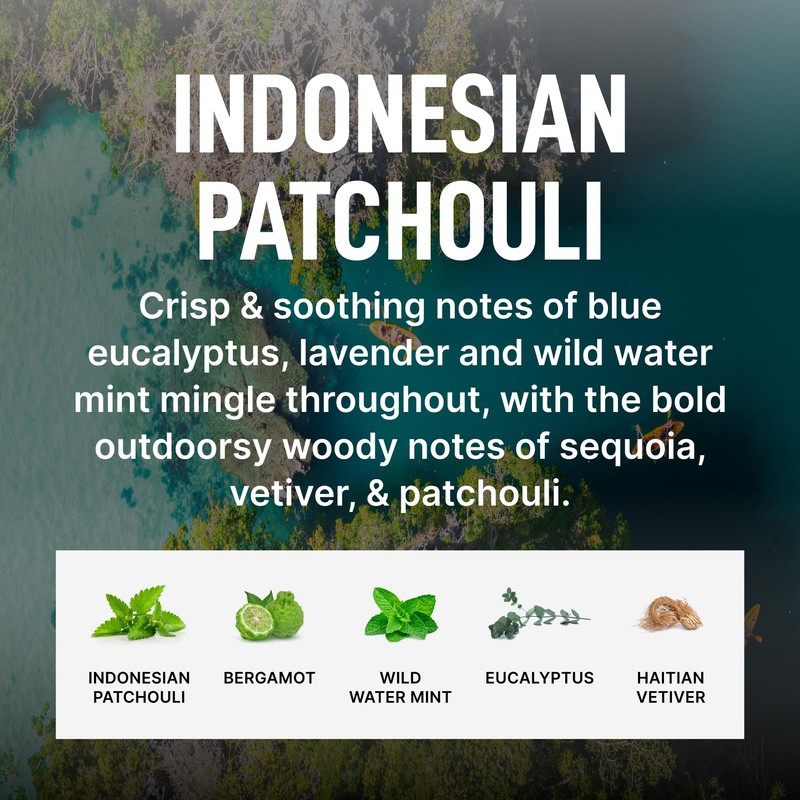 Laundry Sauce - Laundry Fabric Softener (Indonesian Patchouli) Luxury Fragrance,