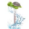 Floating Pool Thermometer, Floating Water Thermometer, Frog