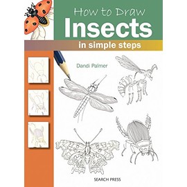 How to Draw: Insects