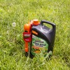Spectracide HG-96588 Lawn Weed Killer