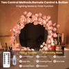 Cherry Blossom Tree Branch Lights for Wall,Cherry Enchanted Willow Vine