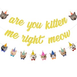 Sursurprise Cat Birthday Banner, Are You Kitten Me Right Meow Banner, Cat Face Banner, Kitten Pet Cat Birthday Decorations Adoption Gotcha Day Party Supplies