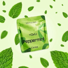 Wooden Aroma Inhaler with Essential Oil Flavored Cores - Scent: Peppermint