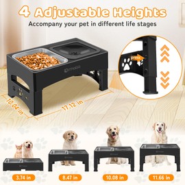 Ormalla Raised Stainless Steel Style-US Black