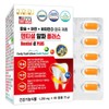 Dentishell 미국 덴티셜 알파 플러스 60정 뼈 치아 코랄 칼슘