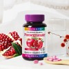 Holidays 홀리데이즈 석류 90정 4병 총12개월분 Holidays Pomegranate 90 Capsules