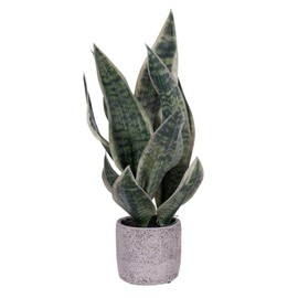 Vickerman 725689-18" Green Snake Plant in Cement Pot (FE224518) Home Office Bushes