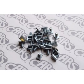 CARS 1963-1965 Buick Riviera Door Skin Mounting Bolt Set | T-Nut | OEM #4421829