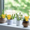 40 Pack Fungus Gnat Traps for House Indoor, Fungus Traps