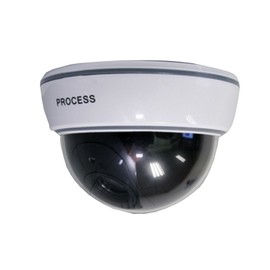 Etopars Simulated Dome Fake Dummy Security CCTV Camera Waterproof IR LED Flashing Red Light Outdoor Indoor Surveillance Guard