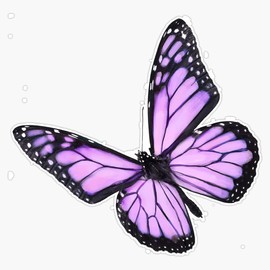 EB Store Lavender Butterfly Vinyl Waterproof Sticker Decal Car Laptop Wall Window Bumper Sticker 5 inches , EBSTORE-STICKERS-110
