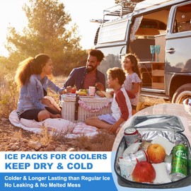 ice Packs for Coolers-Freeze ice Packs Cold Ice Pack for Shipping Freezing Food ice Packs for Cool Box Small ice Packs100pcs