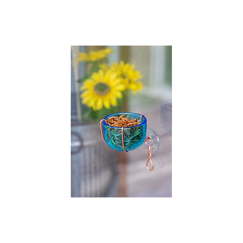 Songbird Essentials SEHHBBWF Copper Bluebird Mealworm Window Feeder (Set of