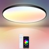 IEGLED LED Ceiling Light with Remote Control, 24 W, Modern