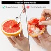 Hiware 4-piece Grapefruit Spoons and Grapefruit Knife, 18/8 Stainless Steel