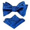 Alizeal Mens 2pcs Paisley Jacquard Self-Tie Bow Tie Pocket Square