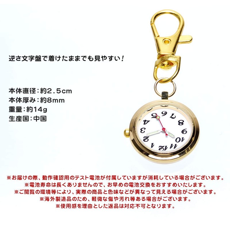 GoodsLand GD-NASUWT-02-GD Nurse Watch, Carabiner Type, Upside Down Dial, Clock,