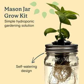 Rise Gardens Mason Jar Herb Grow Kit, Includes Jars and Seeds for Indoor Hydroponic Herb Garden, 4-Pack