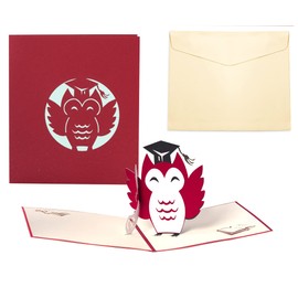 MKISHINE 3D Graduation Greeting Cards Owl with Hat Graduation for Men or Women Graduation Card for English Lawyer Medical Architect C16