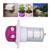 Peristaltic Pump Mini DC Small Micro Circulating Electric Self Priming