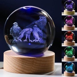 Regalos 3D Owl Eagle para mujer – Bola de cristales de 60 mm para decoración de habitación, cumpleaños, recuerdo pisapapeles