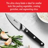 ZWILLING J.A. Henckels 3" Paring Knife, 3", Black