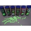 EDU-TOYS Stegosaurus Glow-in-the-Dark Quick Kit