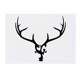 'Stag Word Art' Temporary Tattoo - Water Resistant, Skin-Safe, Non-Toxic Transfer (TO00083585)