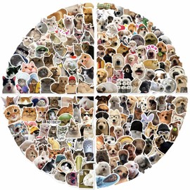200 Packs Cat and Dog Meme Stickers Water Bottles Laptop Phone Motorcycle Computer Guitar Skateboard Hydroflasks Funny Vinyl Sticker Waterproof Aesthetic Trendy Decals for Teens Girls Adults
