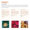 NAD+ 200 capsulas (1300mg por porcion) con Trimethylglycine y Acido