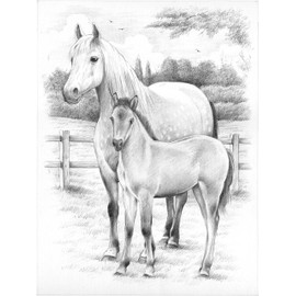 Reeves Sketching By Numbers, Medium - Horse and Foal
