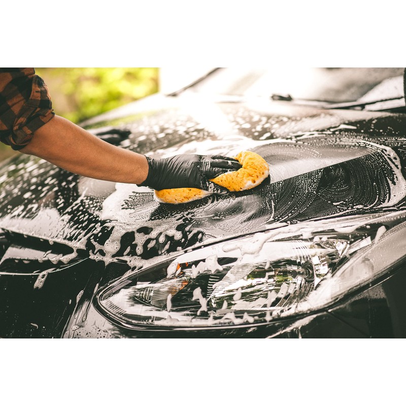 QEP XL All-purpose sponge - 2 Pack