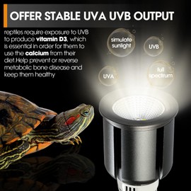 GeeKoit Premium 5.0 UVB Reptile Light,UVA UVB 3W Full Spectrum,Tropical Light Bulb for Optimal Calcium Metabolism,Ideal for Tropical-Dwelling Reptiles Turtle Green Anole