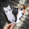 Hafhef Cute Cat Bookmarks, 10 Pieces Bookmarks for Women Teachers