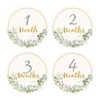 12pcs Baby Monthly Milestone Cards, Paper Photo Prop Monthly Milestone