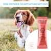 Pawer Water DOG GUT & DIGESTION Hydration Supplement TRIAL STICK