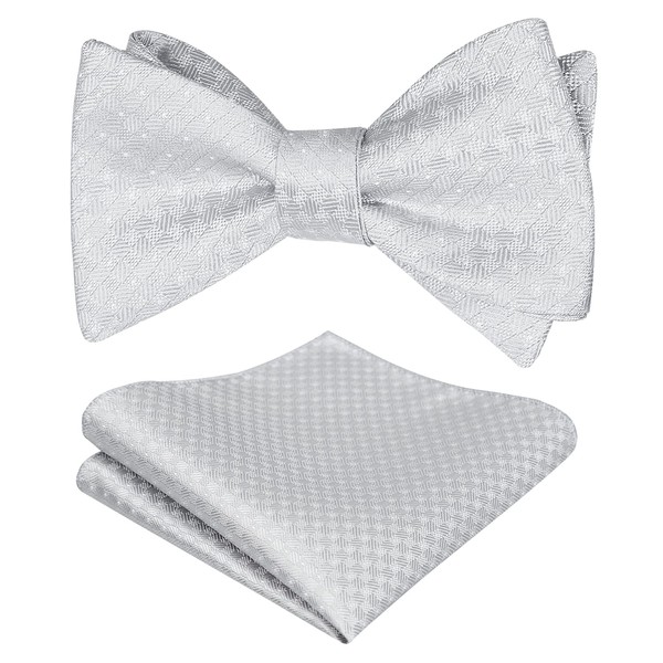 Alizeal Mens 2pcs Polka Dot Self Tied Bow Tie and