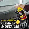 zuhafa CarPlan Demon Clean 175 fl Oz Refill Pack -