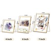 Relaxing Garden Gold Picture Frame Set - /w 68 Pcs