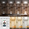 DEEPLITE Battery Ceiling Light, 8000mAh Rechargeable Motion Sensor Ceiling Light,