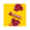 Burt's Bees Pomegranate Lip Balm / 버츠비 포머그래넛트 립밤
